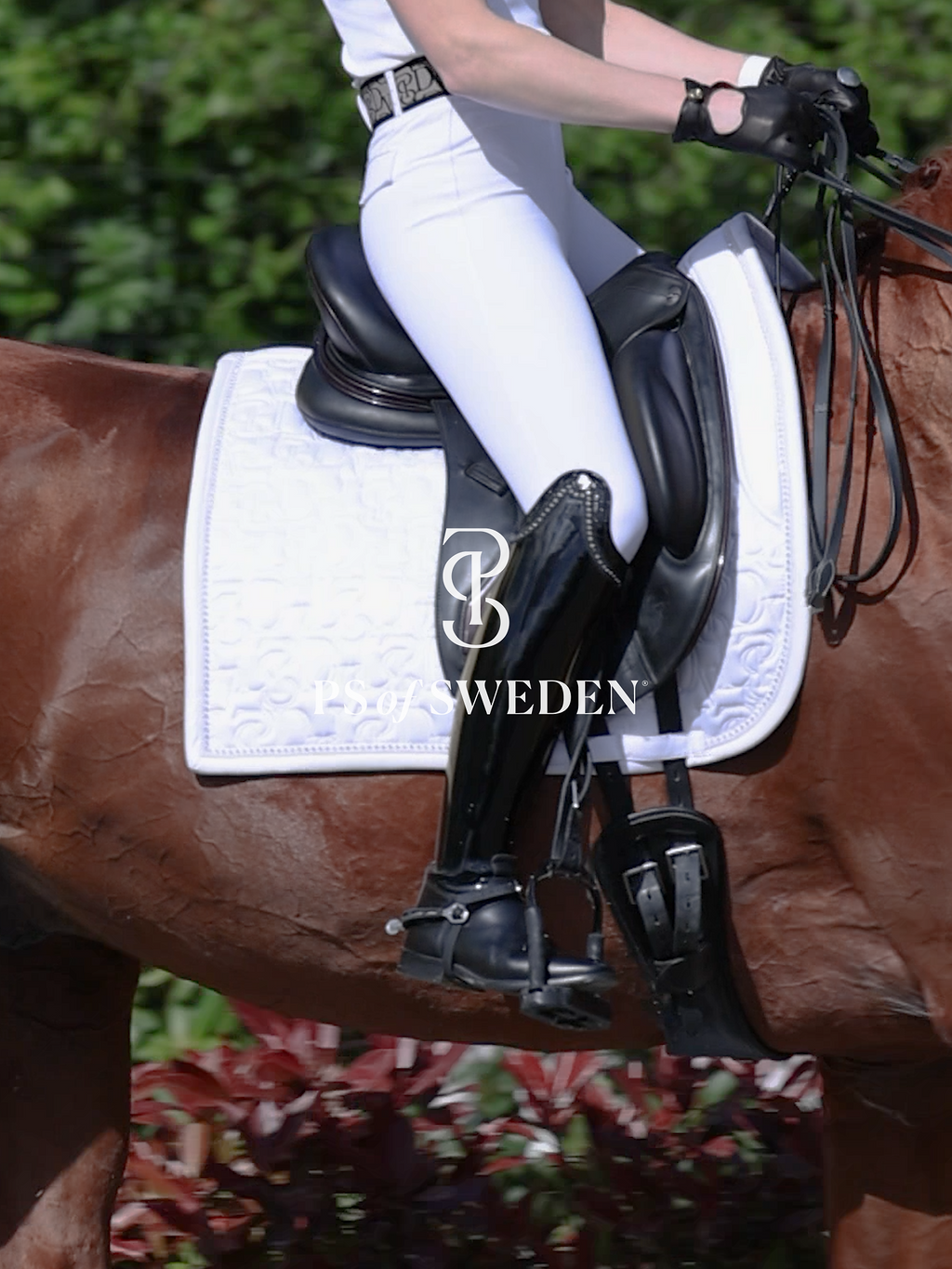 Racecourse bib Dinja Collection Anatomical construction 3 colors Ps of Sweden