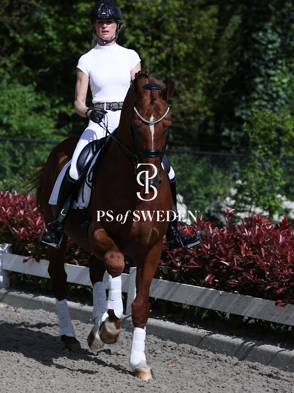 Racecourse bib Dinja Collection Anatomical construction 3 colors Ps of Sweden