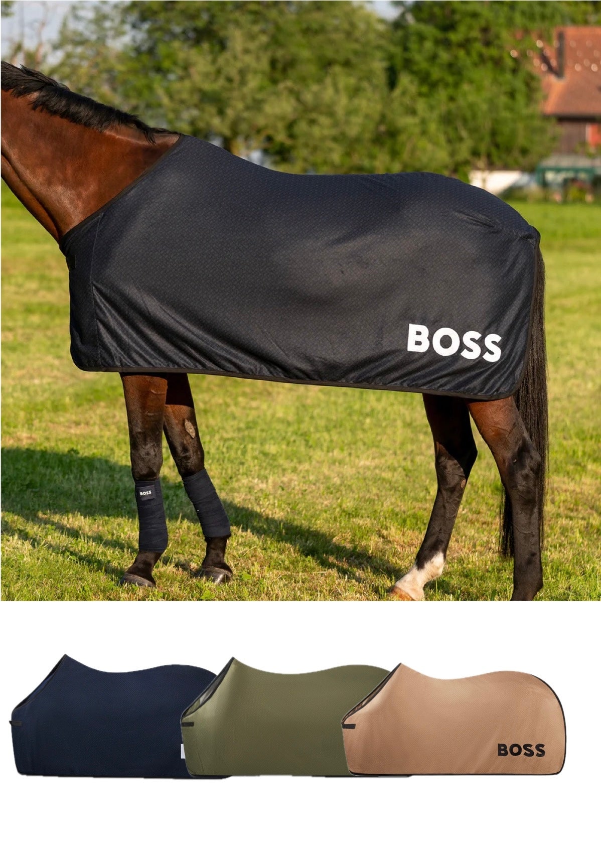 クーラー化粧馬着 ネイビー/オリーブ/キャメル Hugo Boss
