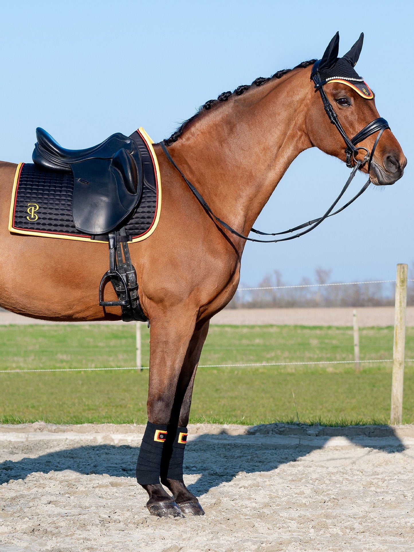 【限定】ドイツナショナルチームゼッケン&イヤーネット2点セット 障害/馬場 ブラック PS of Sweden
