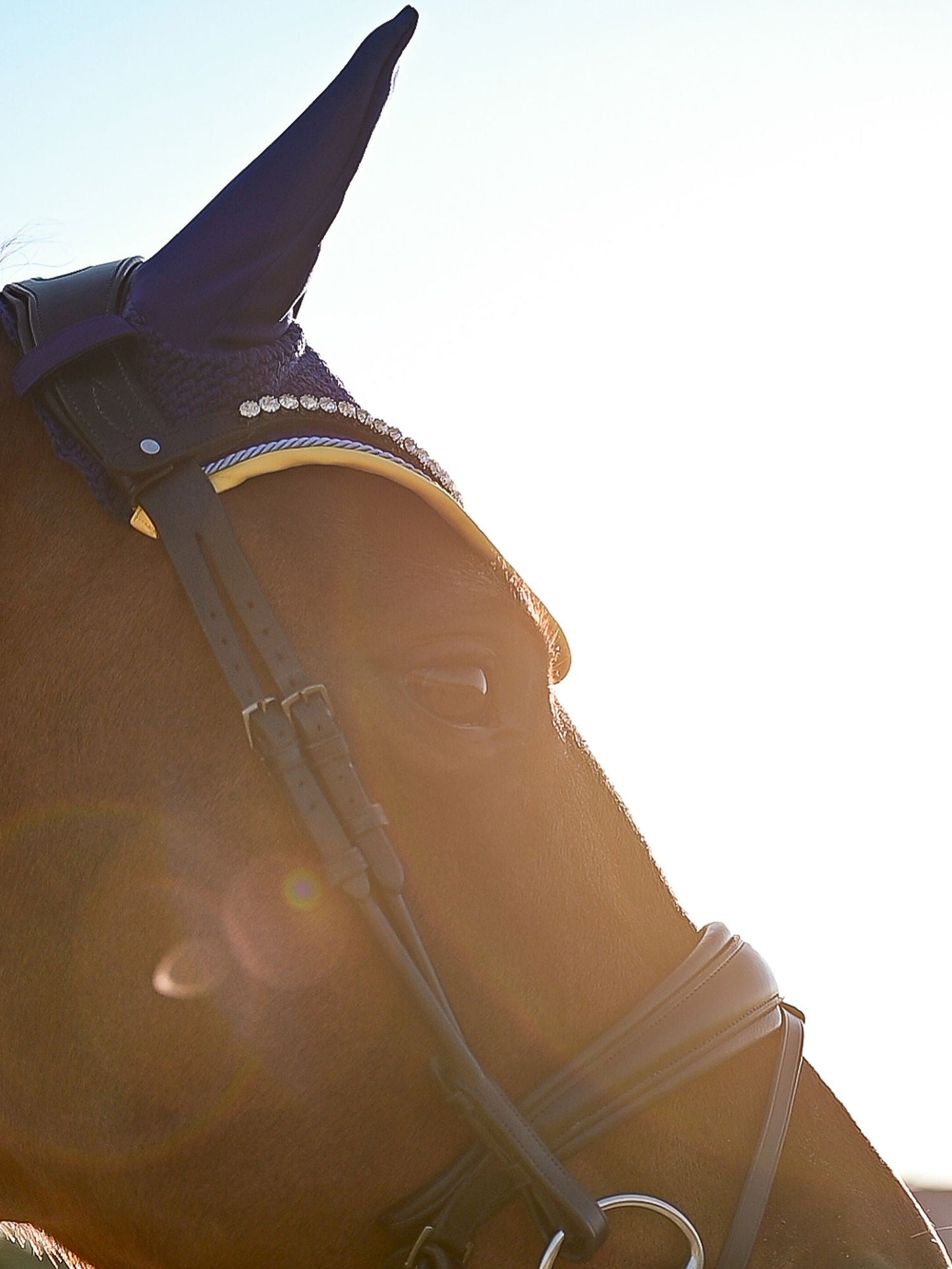 【限定】ドイツナショナルチームゼッケン&イヤーネット2点セット 障害/馬場 ブラック PS of Sweden