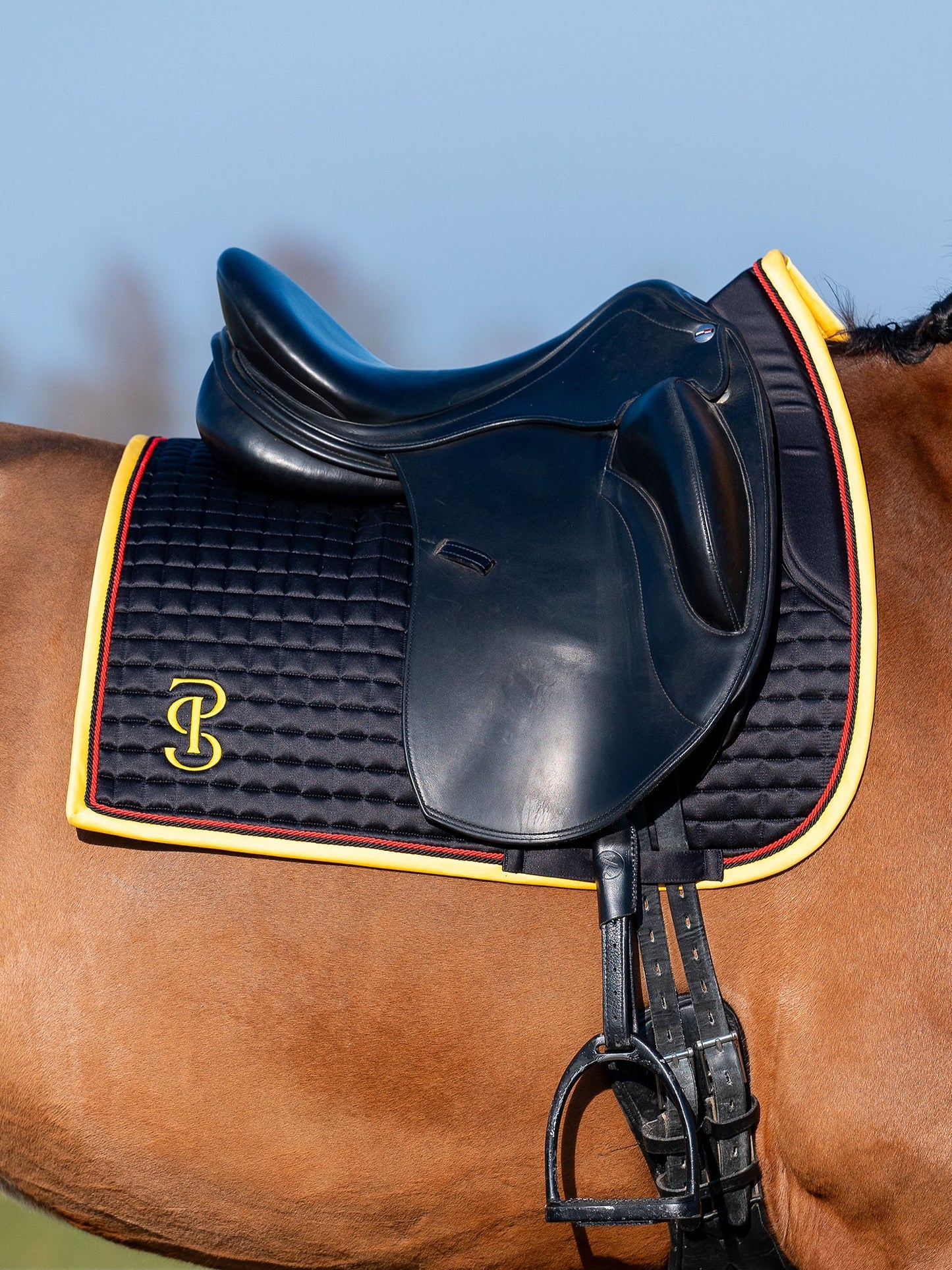 【限定】ドイツナショナルチームゼッケン&イヤーネット2点セット 障害/馬場 ブラック PS of Sweden