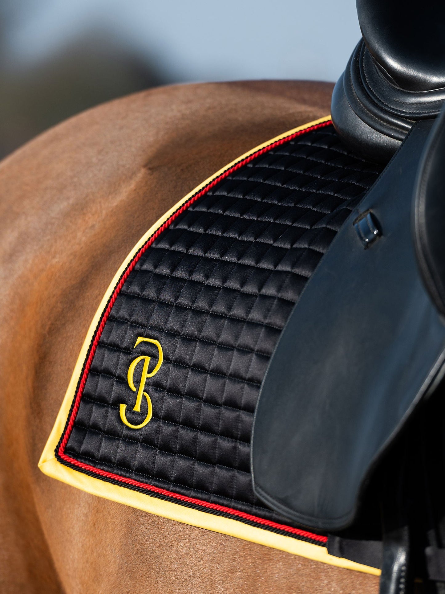 【限定】ドイツナショナルチームゼッケン&イヤーネット2点セット 障害/馬場 ブラック PS of Sweden