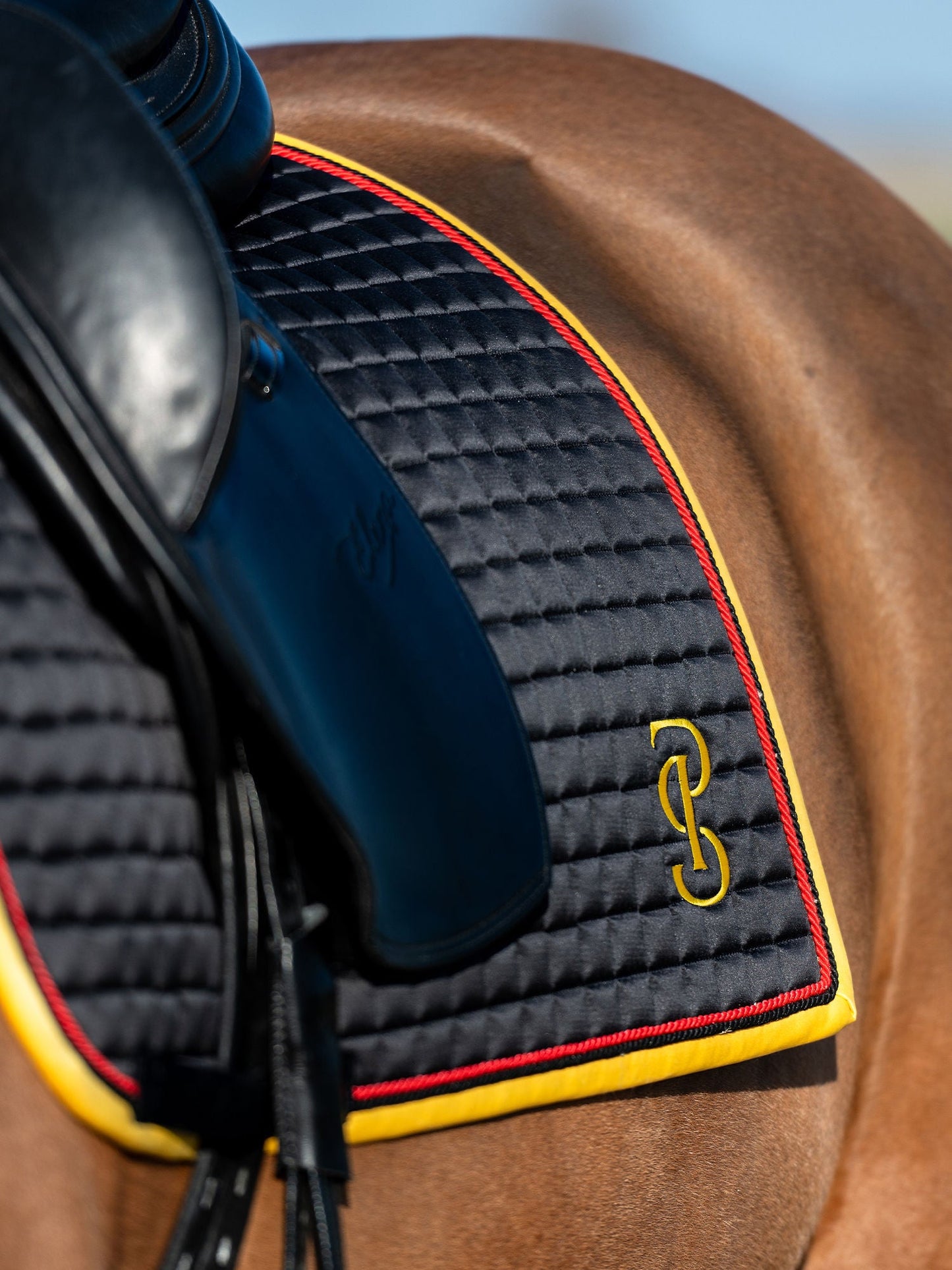 【限定】ドイツナショナルチームゼッケン&イヤーネット2点セット 障害/馬場 ブラック PS of Sweden