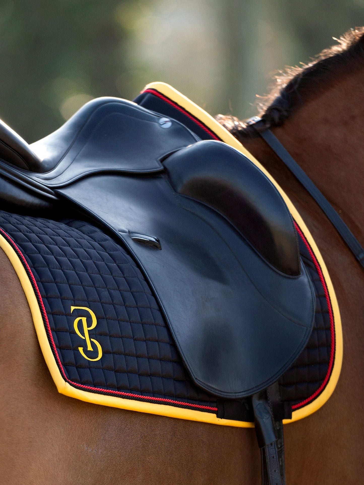 【限定】ドイツナショナルチームゼッケン&イヤーネット2点セット 障害/馬場 ブラック PS of Sweden