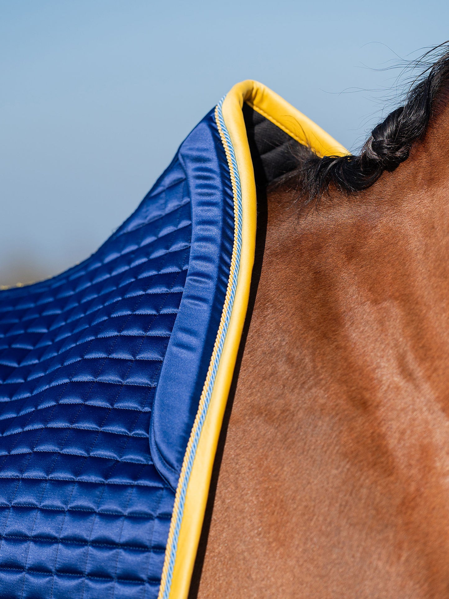 スウェーデンナショナルチームゼッケン&イヤーネット2点セット 障害/馬場 ブラック PS of Sweden