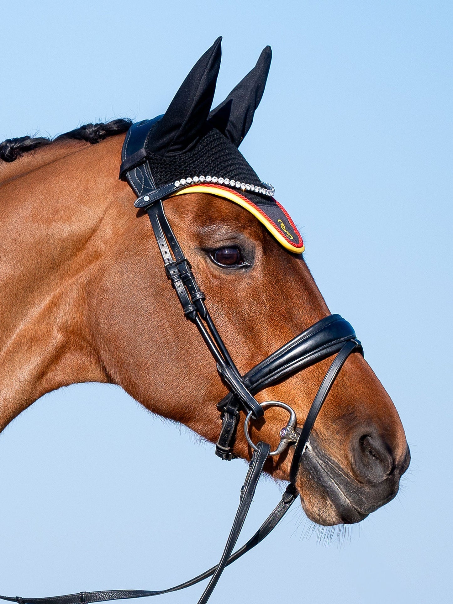 【限定】ドイツナショナルチームゼッケン&イヤーネット2点セット 障害/馬場 ブラック PS of Sweden