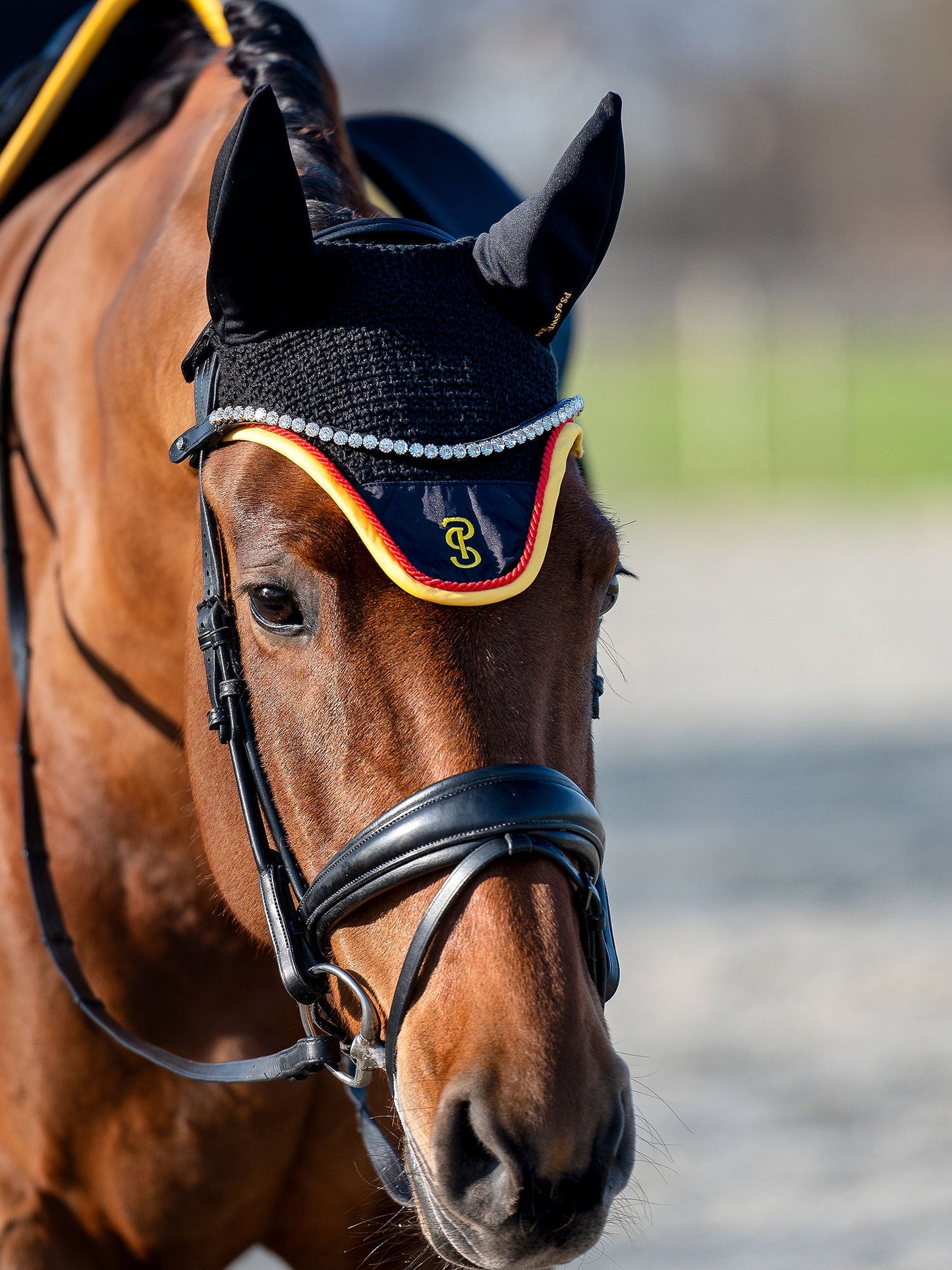 【限定】ドイツナショナルチームゼッケン&イヤーネット2点セット 障害/馬場 ブラック PS of Sweden