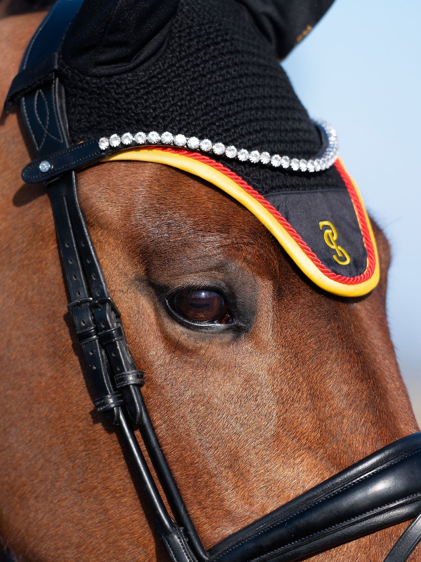 【限定】ドイツナショナルチームゼッケン&イヤーネット2点セット 障害/馬場 ブラック PS of Sweden