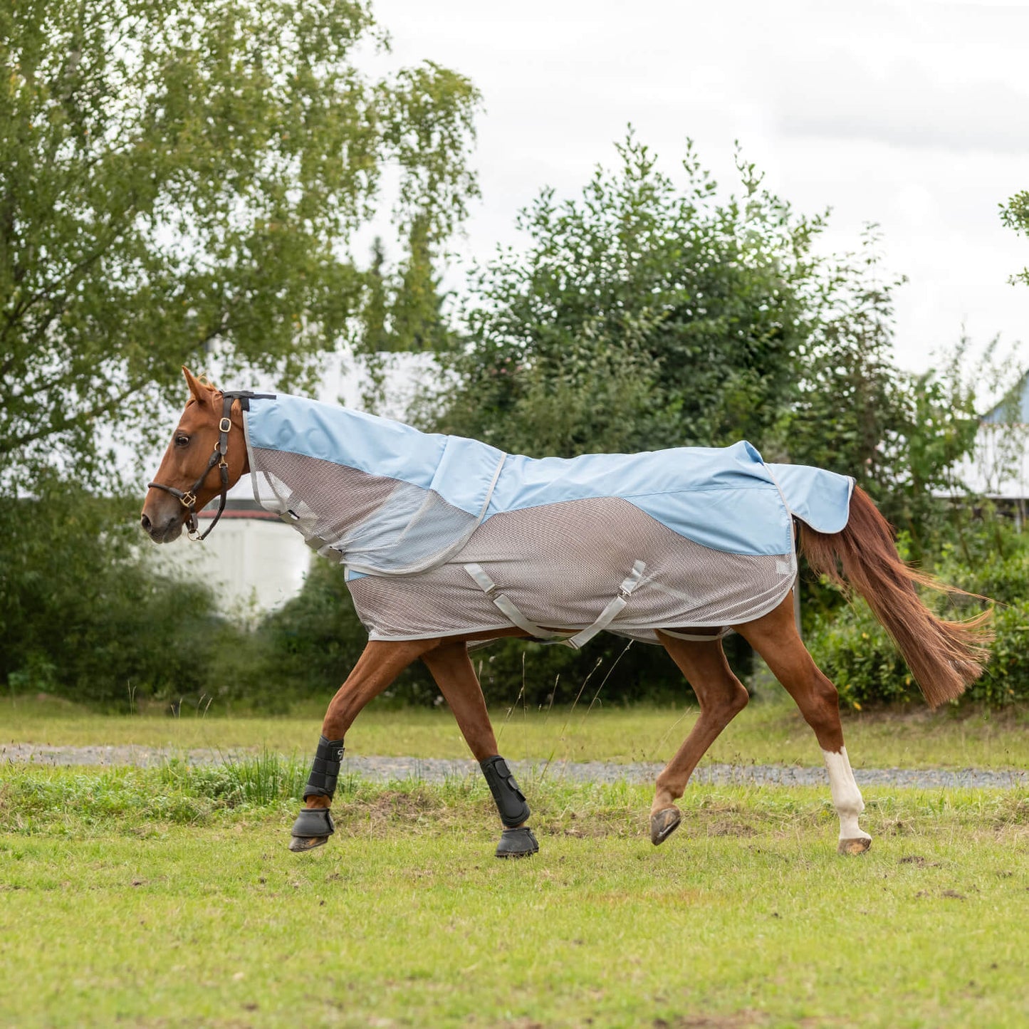 虫除け&雨よけ馬着 防水加工 ライトブルー ネックパート付き Sunride