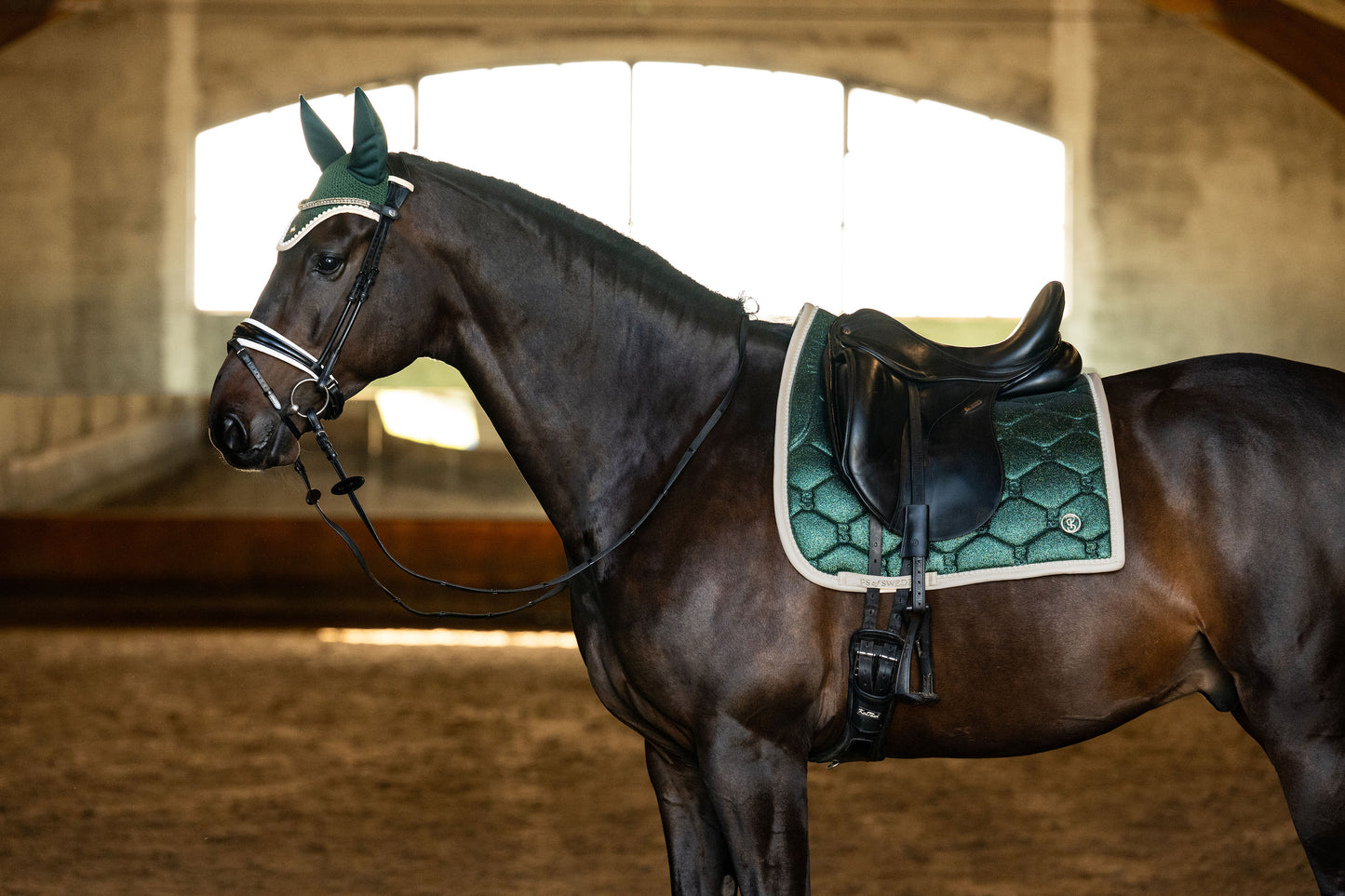 【2点セット】スターダストゼッケン&イヤーネット エメラルド 障害用/馬場用 2025ホリデー限定 Ps of Sweden