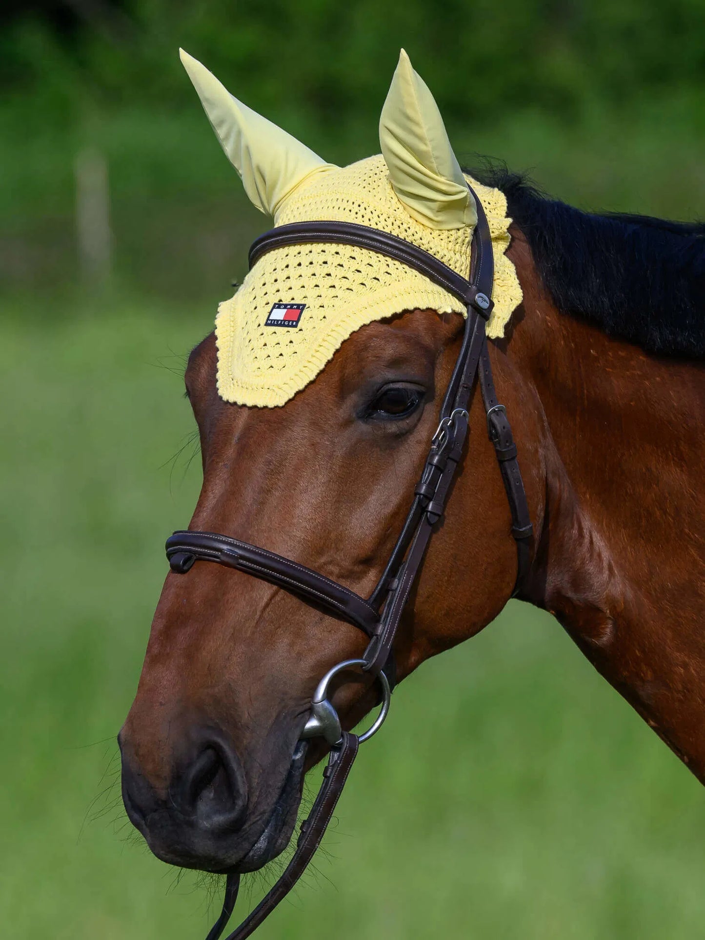 馬場用ワッフルキルティングゼッケン&イヤーネット2点セット 調湿素材 レモンイエロー Tommy Hilfiger Equestrian