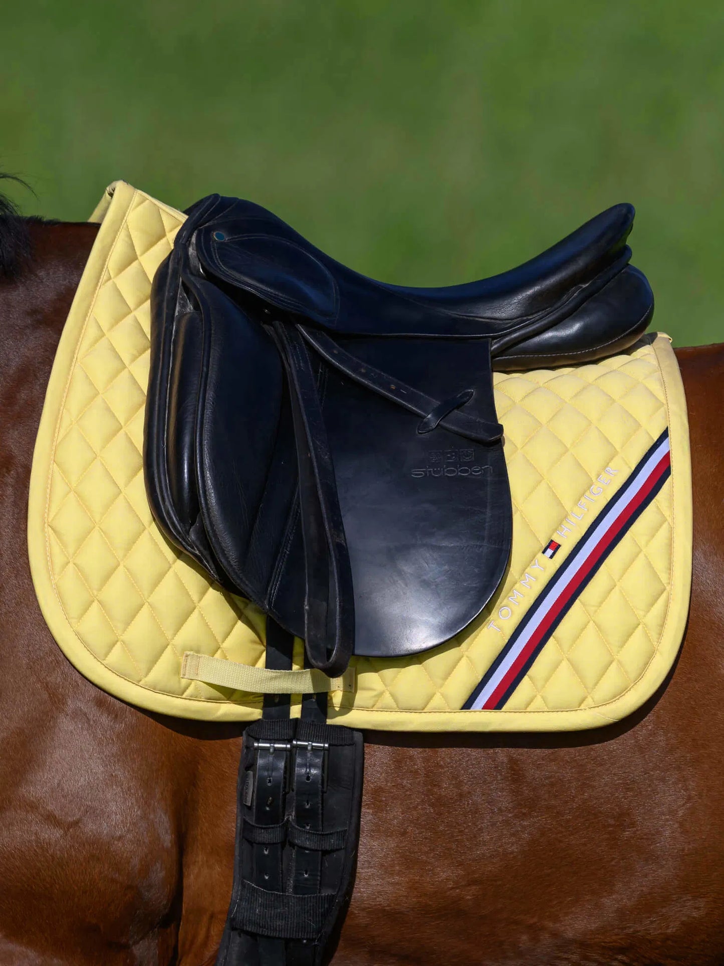 馬場用ワッフルキルティングゼッケン&イヤーネット2点セット 調湿素材 レモンイエロー Tommy Hilfiger Equestrian