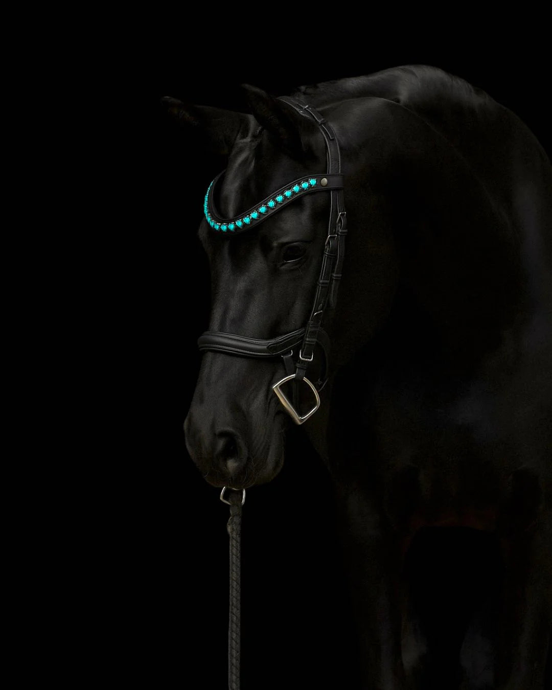 スワロフスキー額革 ターコイズハート ブラック フルサイズのみ equosimperi