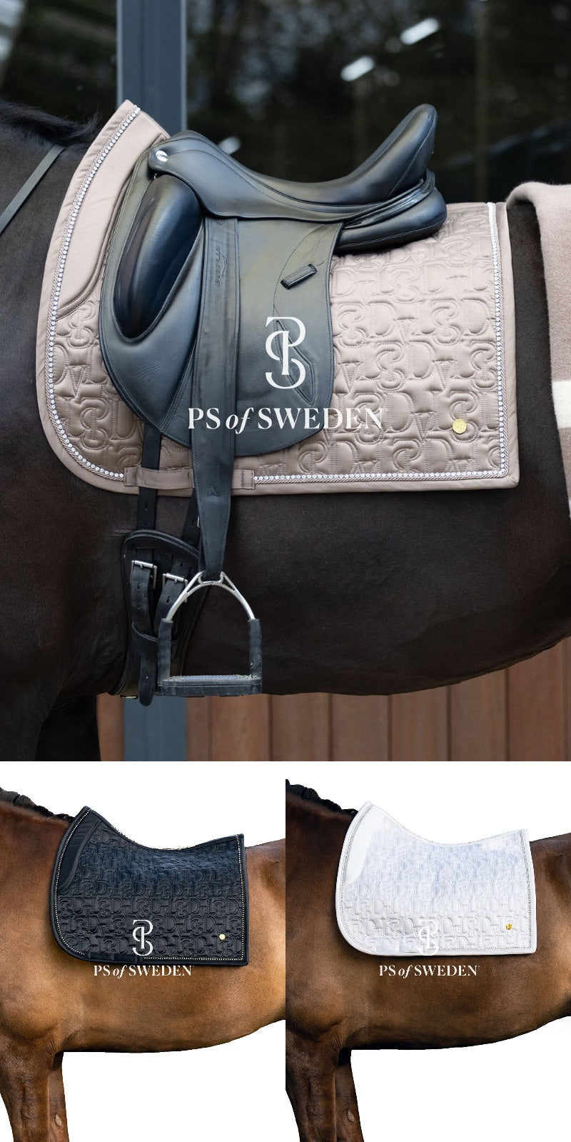 Racecourse bib Dinja Collection Anatomical construction 3 colors Ps of Sweden