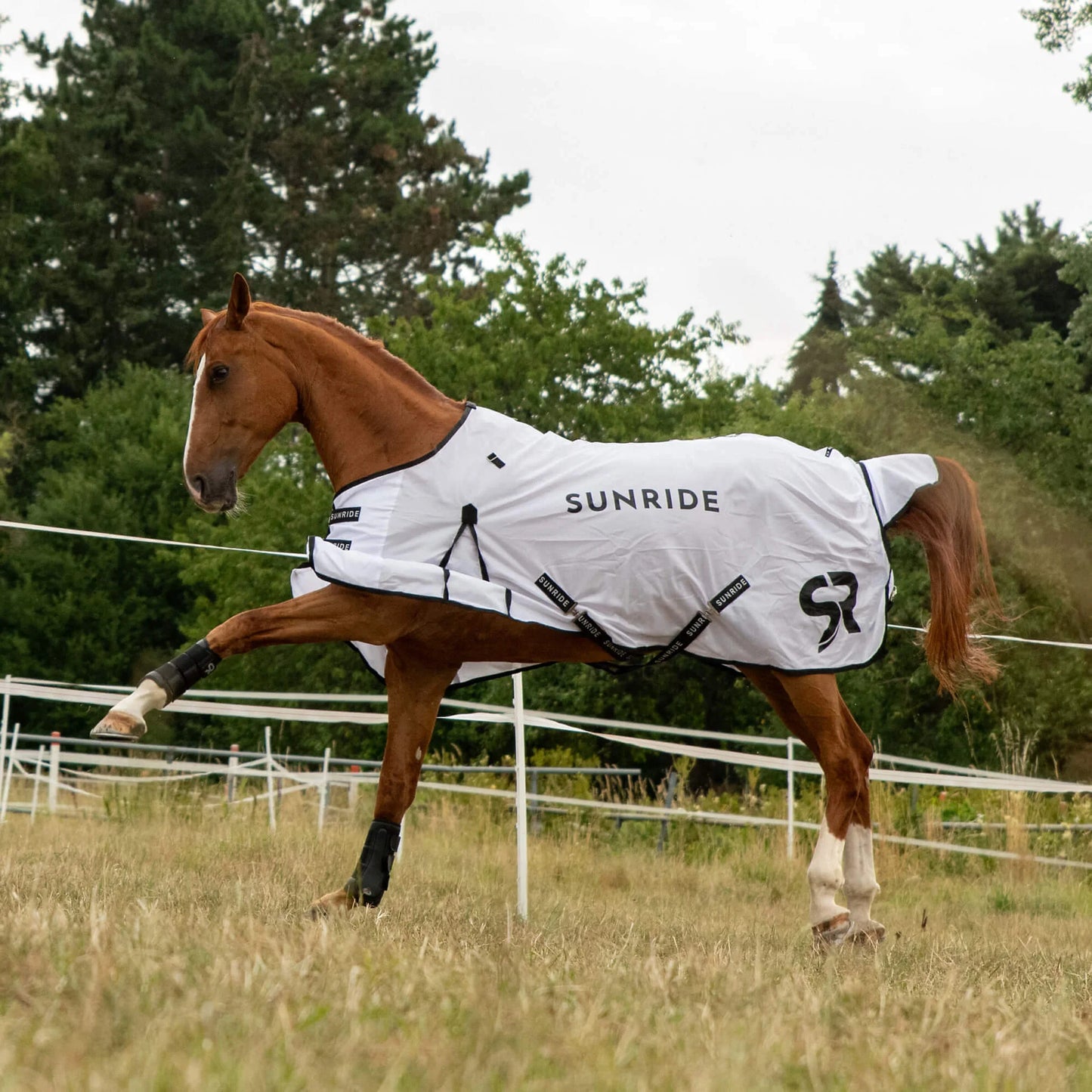 Insect-repellent horse blanket, white, Sunride