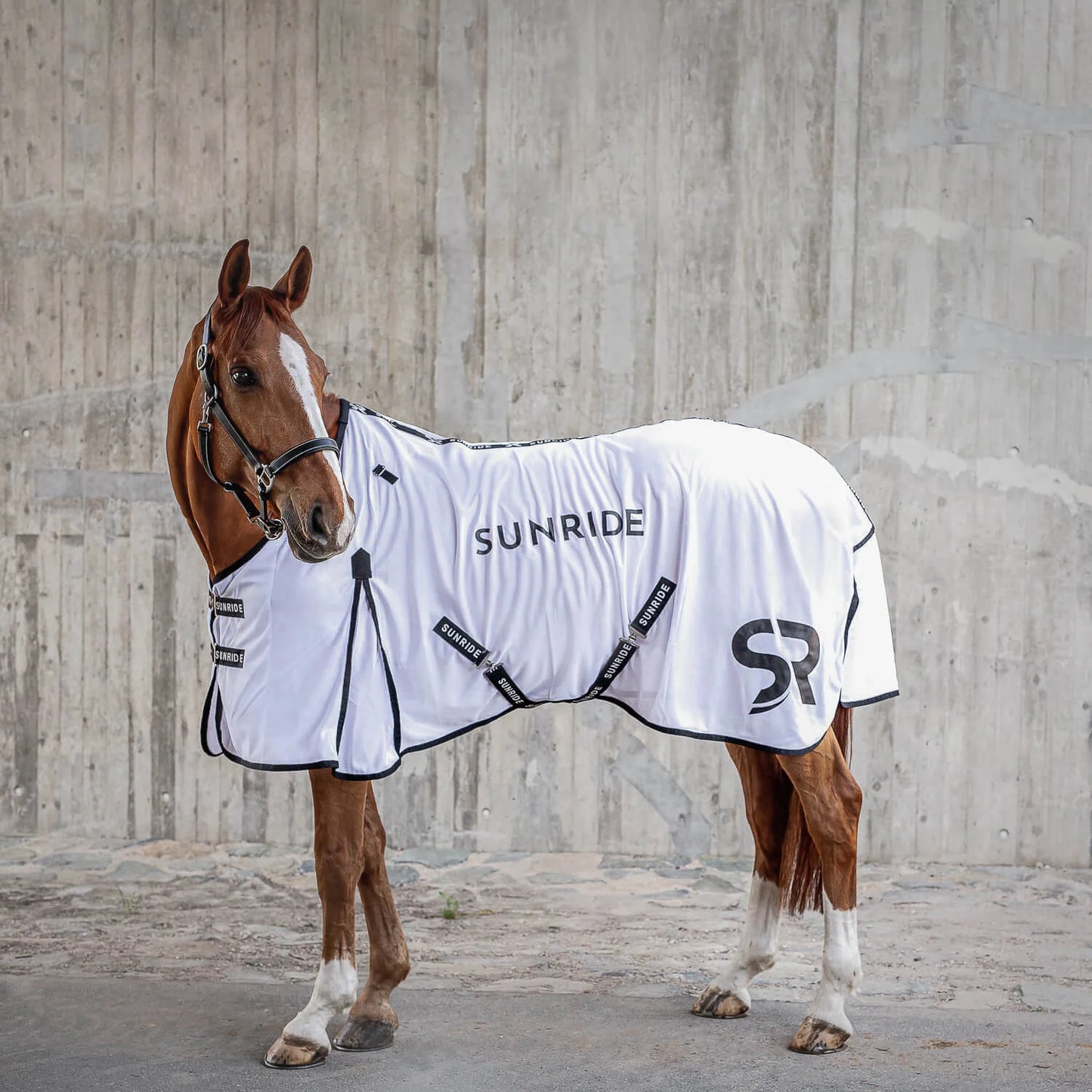 Insect-repellent horse blanket, white, Sunride