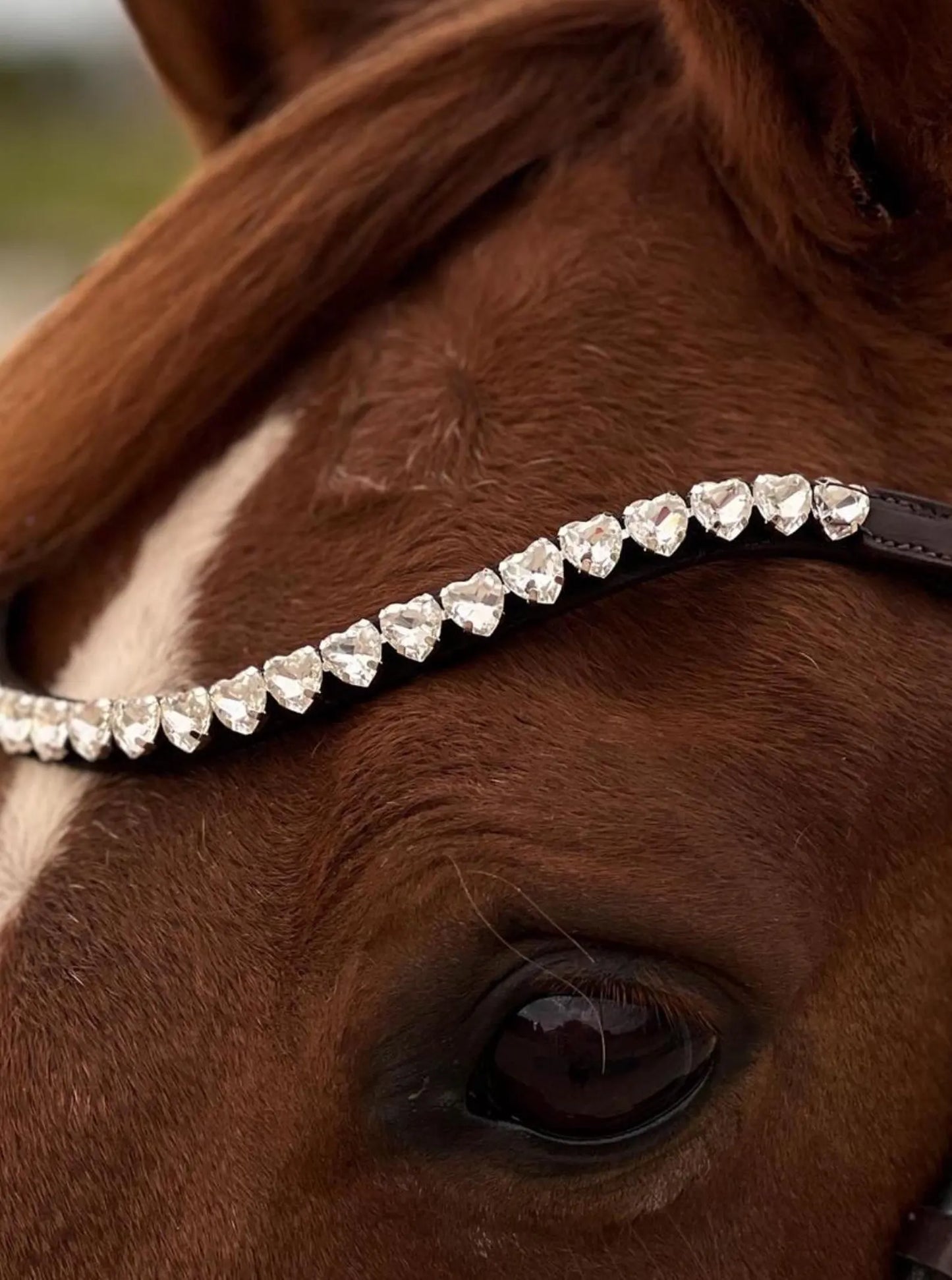 スワロフスキーUシェイプ額革 シルバー ハート ブラック Benz Equestrian