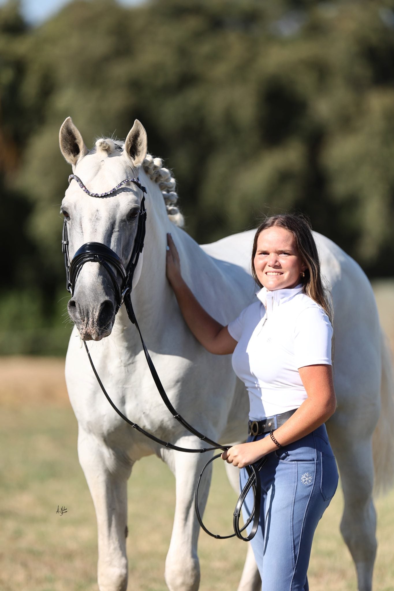 スリムクリスタル額革 Uシェイプ インディゴパープル ICE Equestrian
