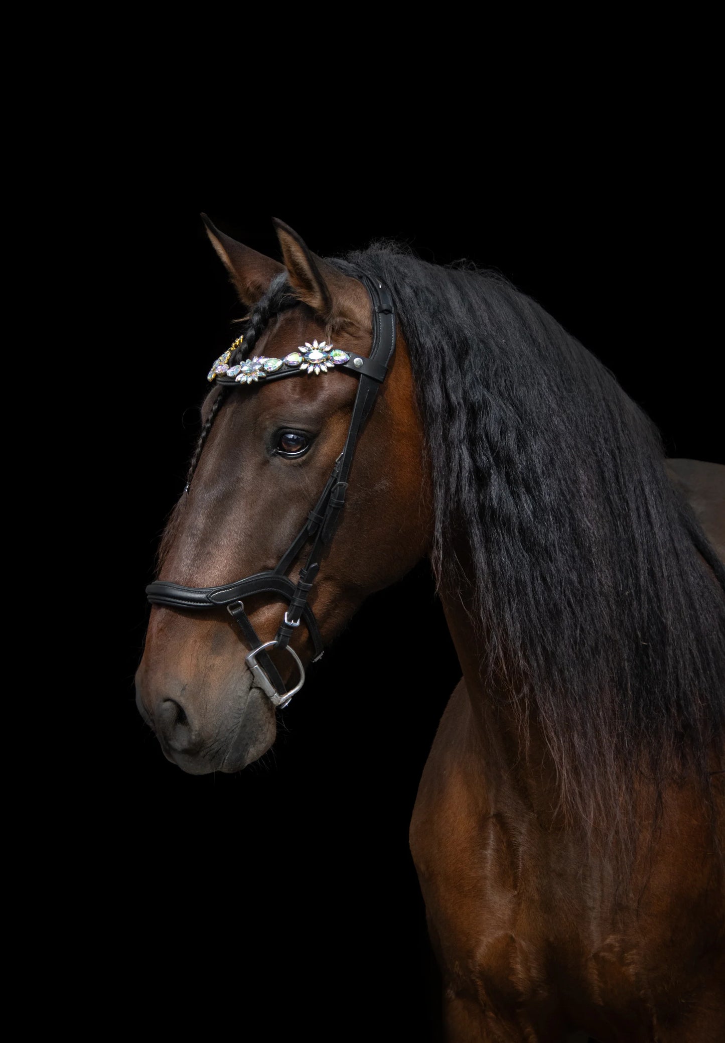 スワロフスキー額革 パラダイス ブラック フルサイズのみ equosimperi