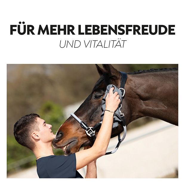 Cooler Rug Cooling Horse Blanket Grey Sunride