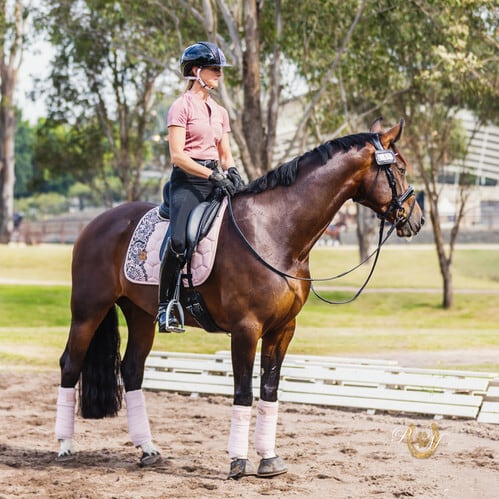 サテンレースサドルパッド&ロングイヤーネット セット ローズベージュ/ブラック 馬場用 障害用 ゼッケン