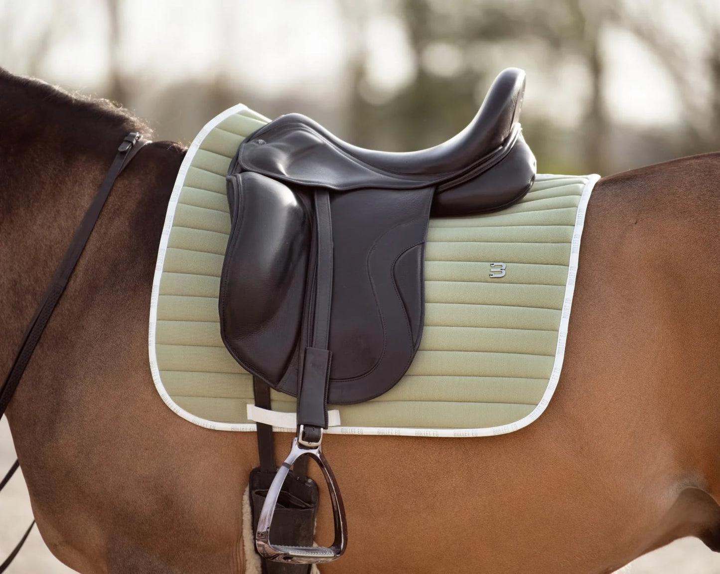 速乾サドルパッド&イヤーネット 2点セット 馬場用ゼッケン Bullet Equestrian design フル