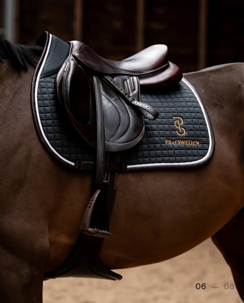 滑り止め付き乗馬用ゼッケン 障害/馬場 アナトミカル構造 Ps of Sweden ダークグレー/ストームブルー