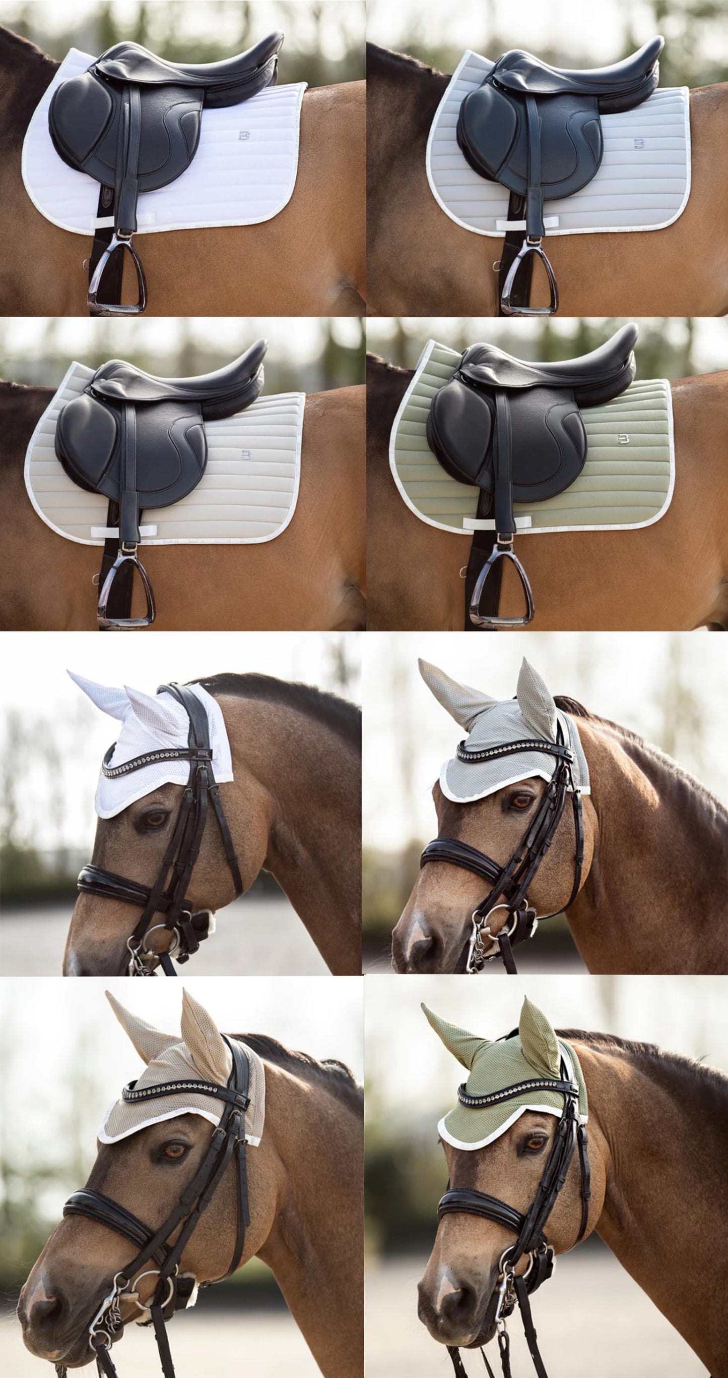 障害用ゼッケン&イヤーネット 2点セット 速乾素材 Bullet Equestrian design フル
