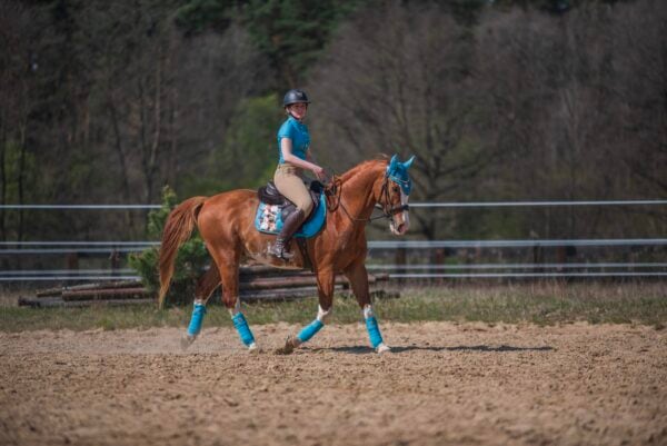 ローズ柄サドルパッド ターコイズ 馬場用 障害用 ゼッケン