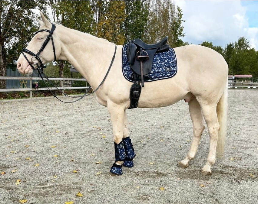 ローズプリントゼッケン 障害 馬場 Rebel Equestrian
