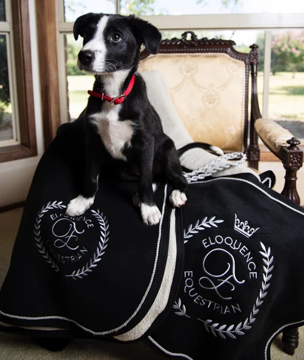 Fleece Horse Blanket with Fur Pad Black Eloquence Equestrian