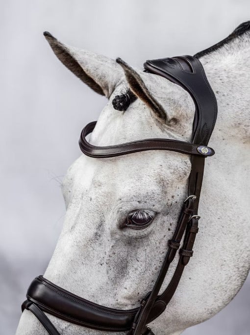 Bridle for Show Jumping and Dressage Black Brown
