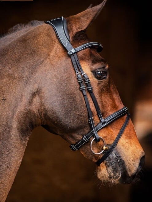 Bridle for Show Jumping and Dressage Black Brown