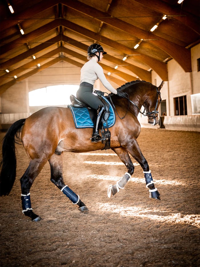乗馬用ゼッケン馬場用 シグネチャーコレクション Ps of Sweden