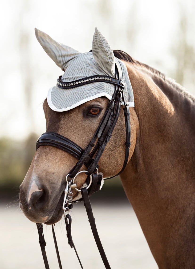 速乾サドルパッド&イヤーネット 2点セット 馬場用ゼッケン Bullet Equestrian design フル