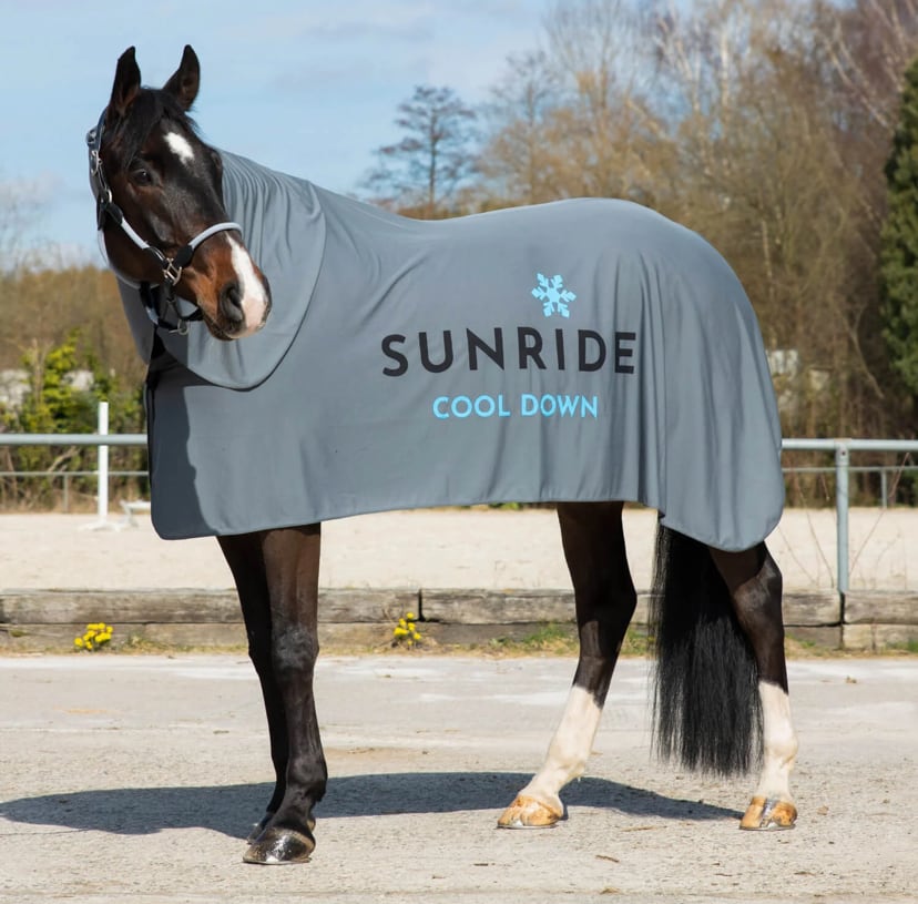 Cooler Rug Cooling Horse Blanket Grey Sunride
