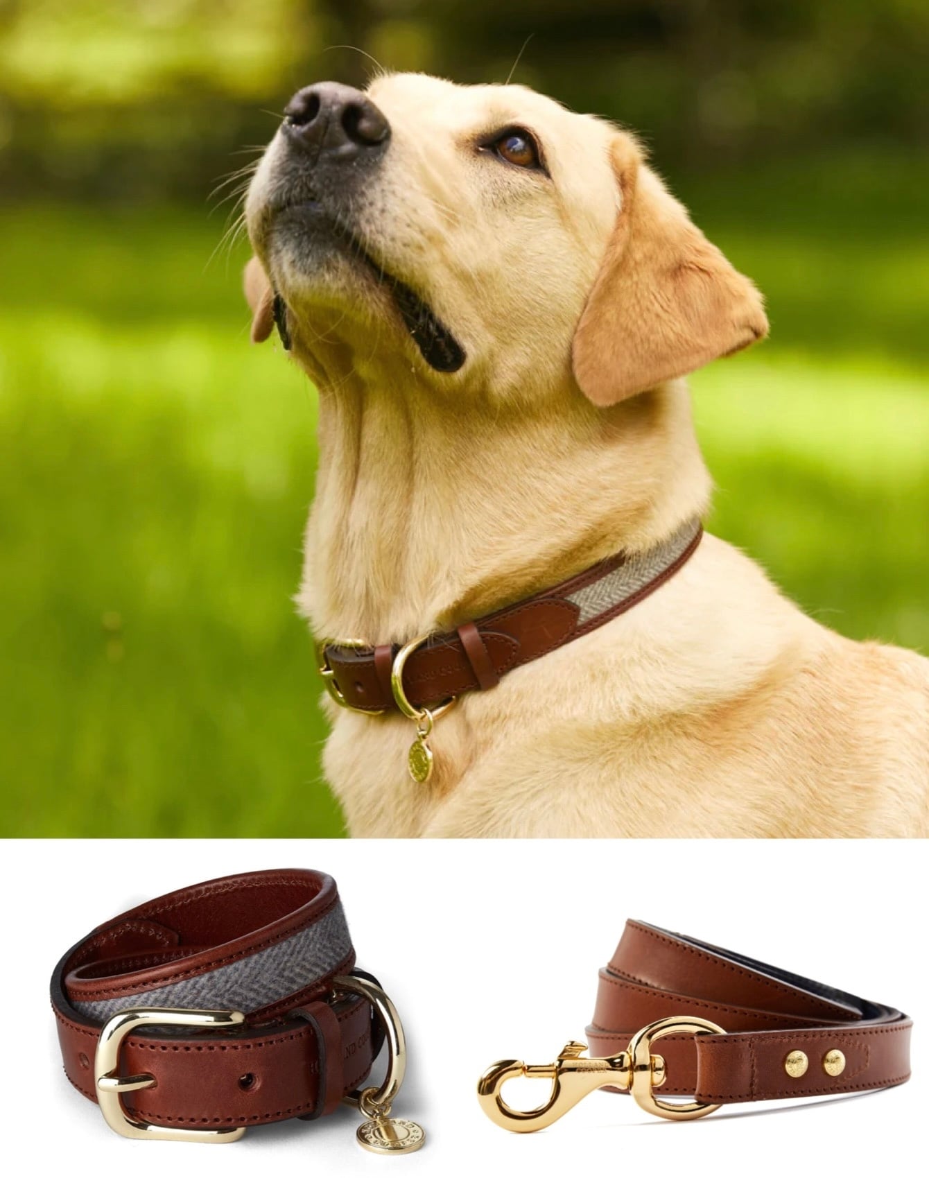 首輪&リード2点セット 本革 中型&大型犬用 ブラウン ツイード Holland Cooper