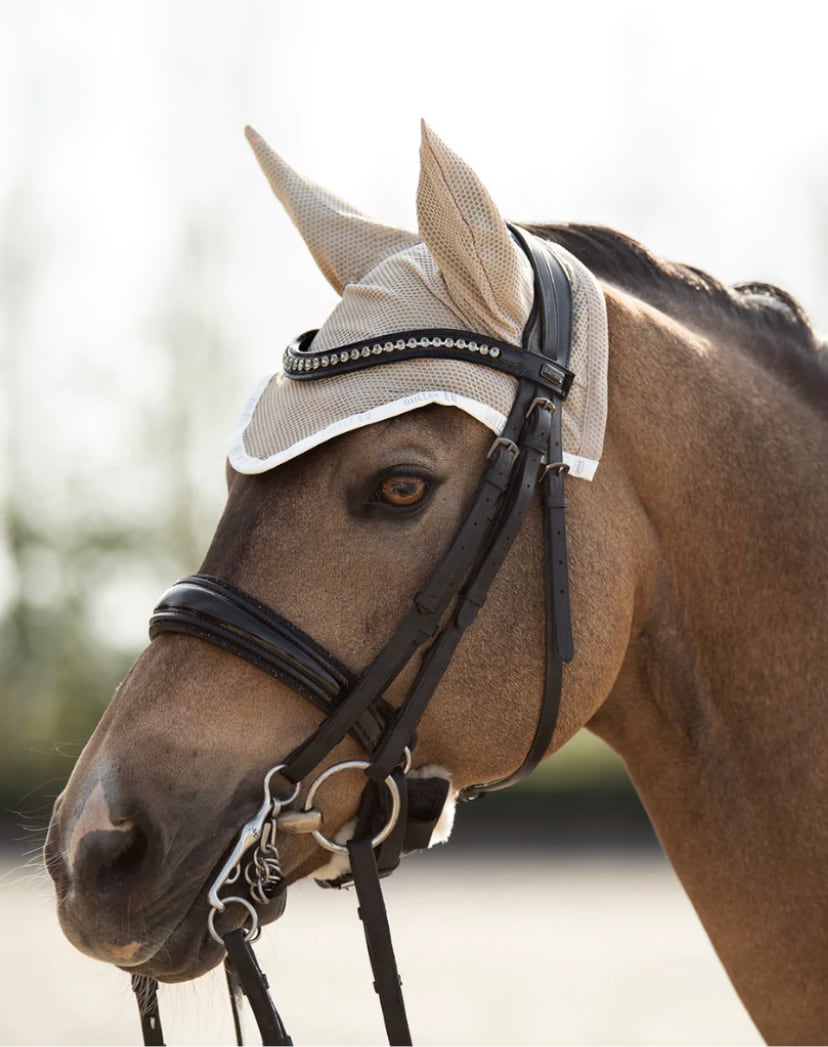 速乾サドルパッド&イヤーネット 2点セット 馬場用ゼッケン Bullet Equestrian design フル