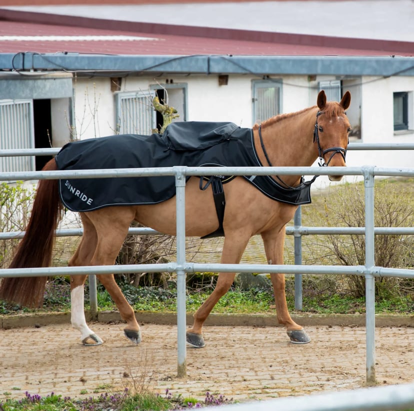 運動用馬着 エクササイズシート サドルカバー付き ブラック Sunride