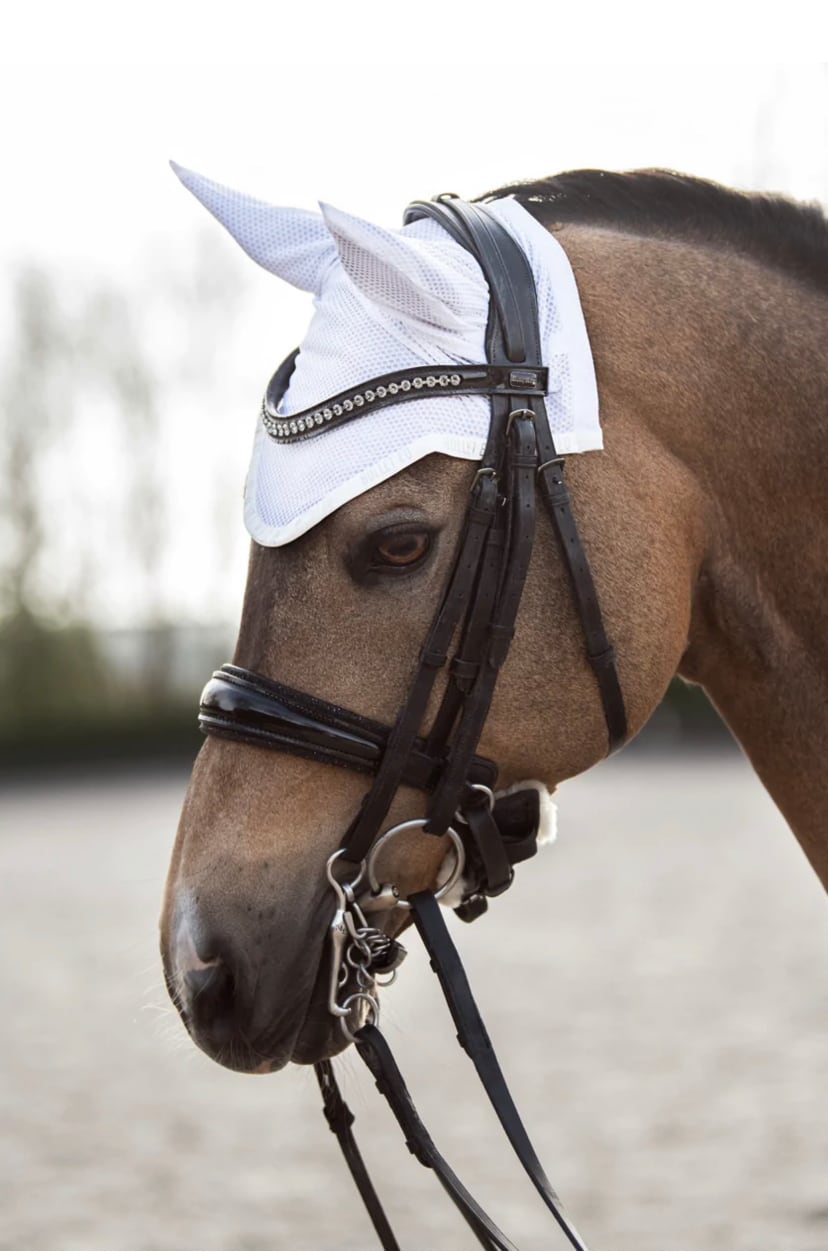 速乾サドルパッド&イヤーネット 2点セット 馬場用ゼッケン Bullet Equestrian design フル