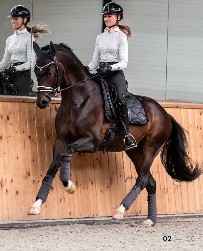 馬場用ゼッケン フリル&パール付き アナトミカル構造 Ps of Sweden ダークグレー/アイシーグレー