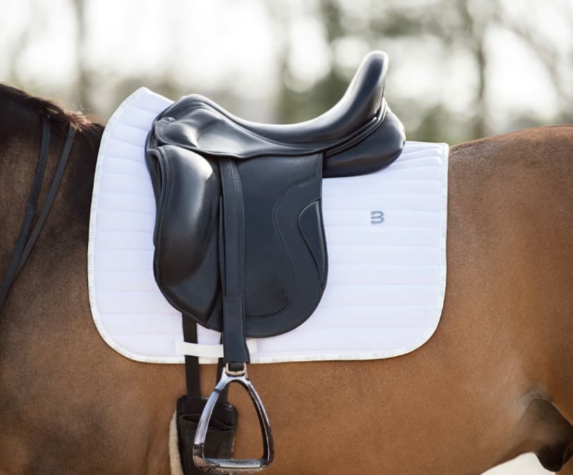 速乾サドルパッド&イヤーネット 2点セット 馬場用ゼッケン Bullet Equestrian design フル
