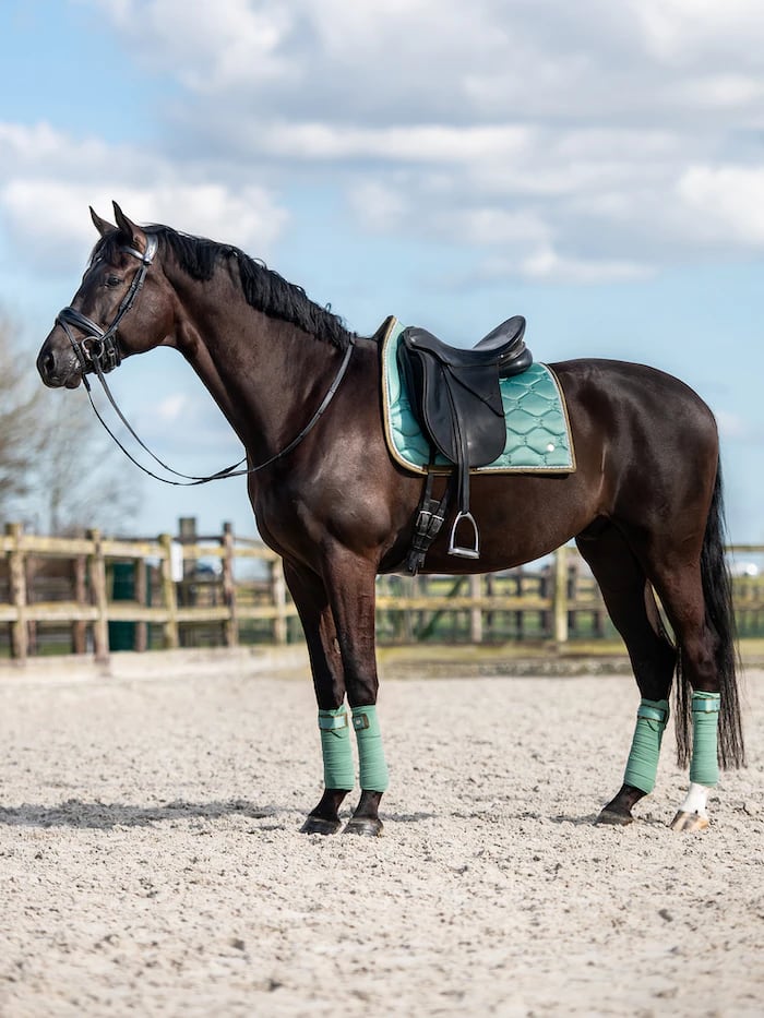 乗馬用ゼッケン馬場用 シグネチャーコレクション Ps of Sweden