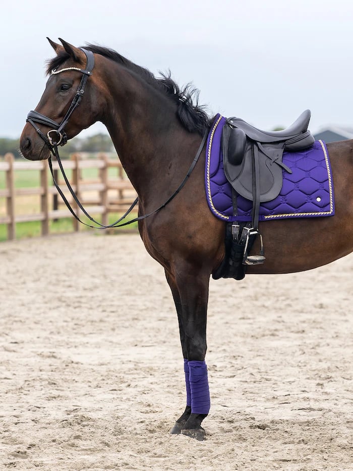 乗馬用ゼッケン馬場用 シグネチャーコレクション Ps of Sweden