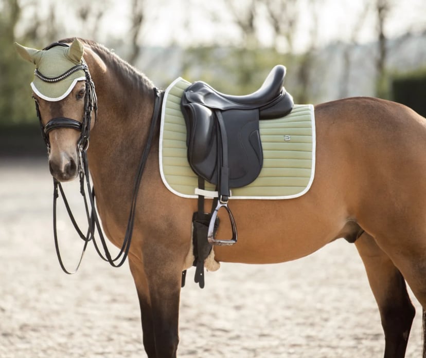 速乾サドルパッド 馬場用ゼッケン Bullet Equestrian design フル