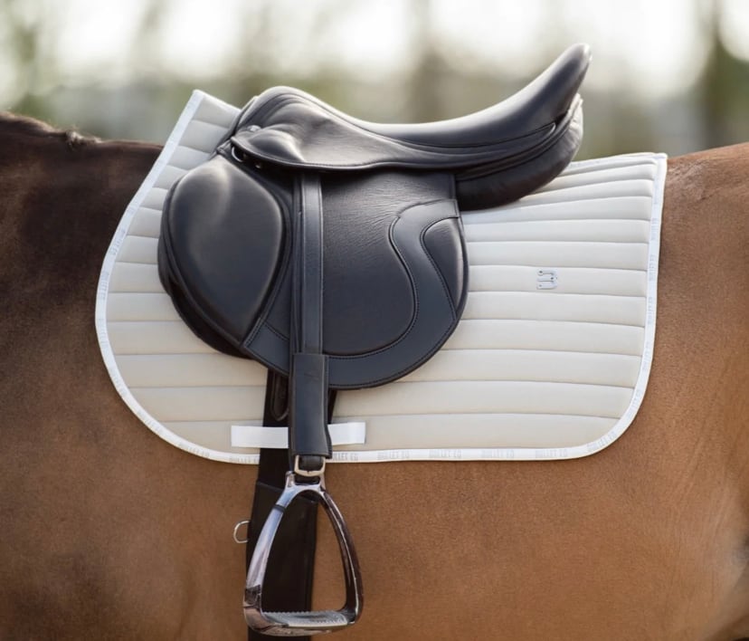 障害用ゼッケン&イヤーネット 2点セット 速乾素材 Bullet Equestrian design フル