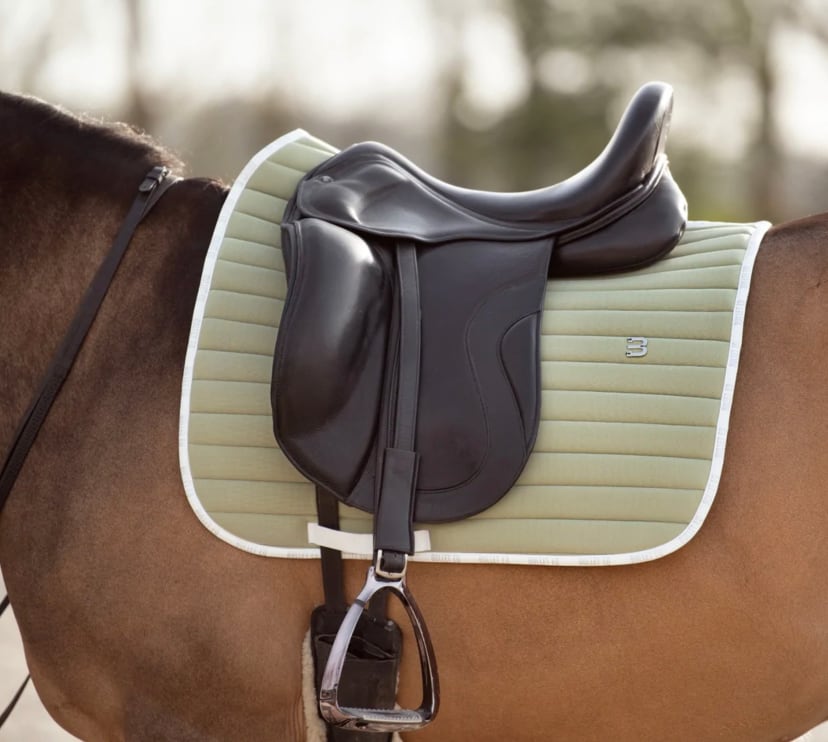 速乾サドルパッド 馬場用ゼッケン Bullet Equestrian design フル