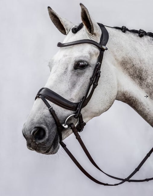 Bridle for Show Jumping and Dressage Black Brown