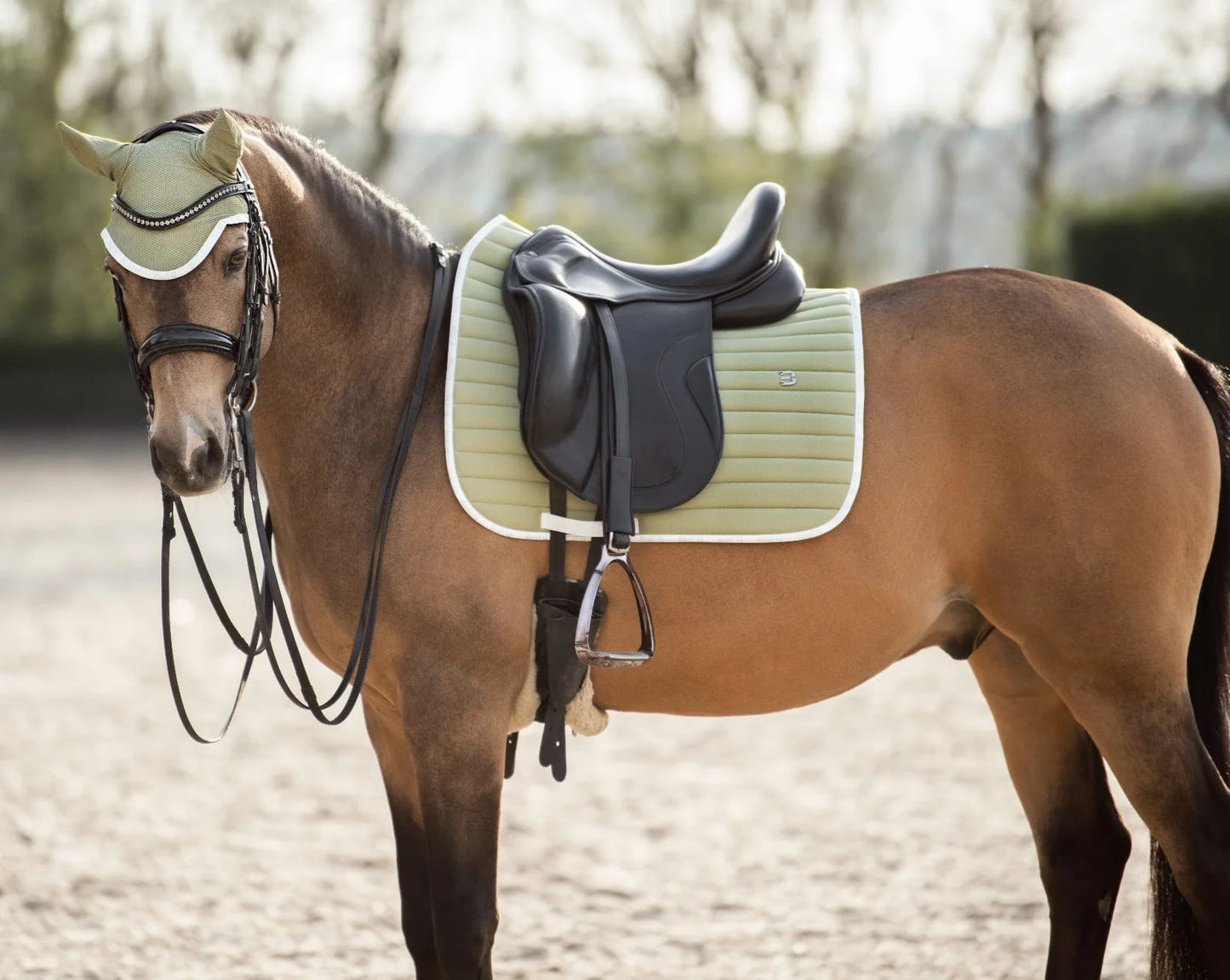 速乾サドルパッド&イヤーネット 2点セット 馬場用ゼッケン Bullet Equestrian design フル